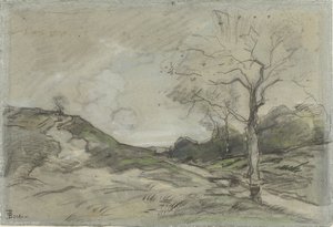 Duinlandschap