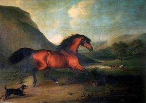 The English Blood-horse 'fidget' — Henry Bernard Chalon