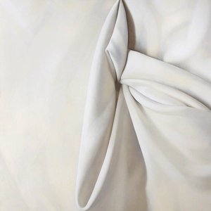 Flexion — Alison Watt