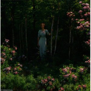 The Edge of the Woods