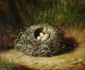 Still Life — Benjamin Hold