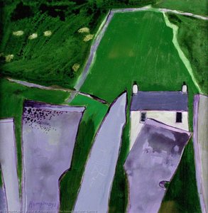 The Ascending Field, Corris Ii — David W. P Humphreys
