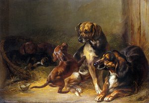 Dogs And Whelps — Benno Raffael Adam