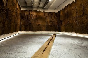 Sculture Di Linfa — Giuseppe Penone