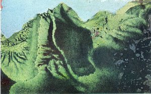 Untitled (7684) — Max Ernst