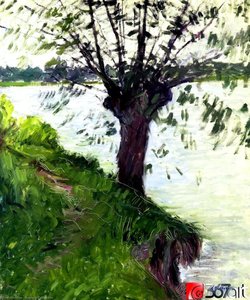 Willow On The Banks Of The Seine — Gustave Caillebotte
