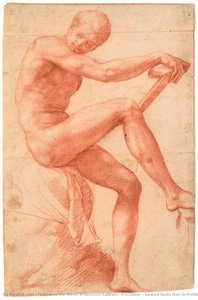 Seated Nude Man In Profile — Francesco De Rossi (francesco Salviati) (cecchino), Renaissance