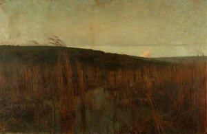 Marshland — Charles Greville Morris