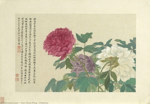 Peonies — Yun Shou-ping