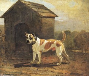 Dustman - Bulldog And Terrier Mix — Benjamin Marshall