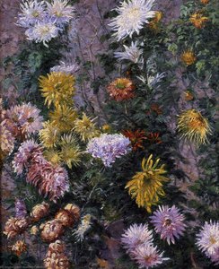 White And Yellow Chrysanthemums Garden At Petit Gennevilliers — Gustave Caillebotte