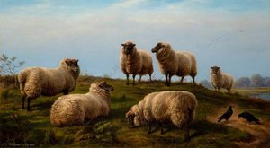 Sheep — Charles Jones