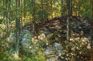 Laurel On The Ledges — Frederick Childe Hassam, Impressionism