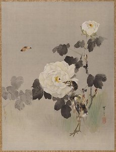Roses, Young Bird And A Butterfly — Watanabe Seitei