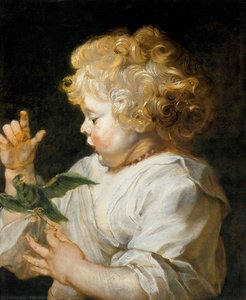 Boy With Bird — Peter Paul Rubens