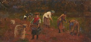 Field Workers Digging Potatoes
