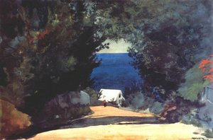 Road In Bermuda — Winslow Homer, Contemporary Realism