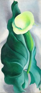 Calla Lily (lily-yellow No. 2) — Georgia O'keeffe