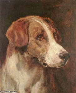 Head Of A Foxhound — Heywood Hardy