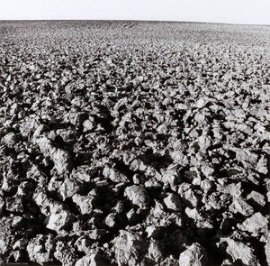 Field, Clay County, From The Kansas Documentary Survey Project — Larry W Schwarm