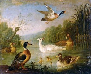 Mallards On A Pond — Marmaduke Cradock