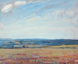 Landscape — Mark Senior