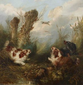 Three Spaniels Putting Up A Brace Of Mallard — George Armfield (smith), Contemporary Realism
