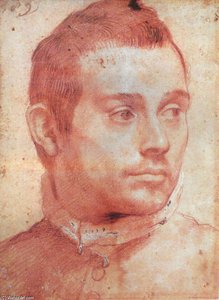 Portrait Of A Man — Annibale Carracci