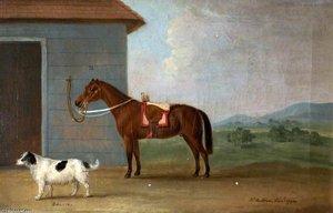 'bounce', A Spaniel, With A Bay Horse — Francis Sartorius Ii (john Francis Sartorius)