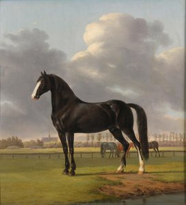 anthony oberman