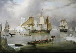 'william Lee' In The Arctic — John Ward