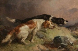 Setters on the Moor