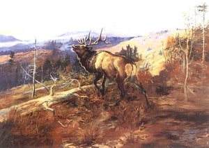 The Elk — Charles Marion Russell