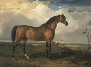 Eagle, A Celebrated Stallion — James Ward, Romantic Landscape