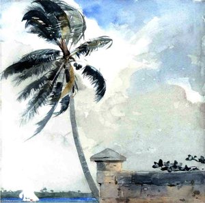 A Tropical Breeze, Nassau — Winslow Homer
