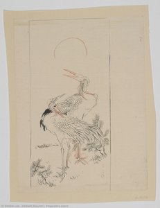 Preparatory Sketch — Ishibashi Kazunori