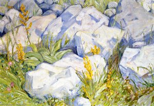 Little Study Of Stones — Franz Marc