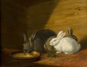 Rabbits — George Morland