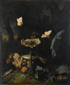A Forest Floor Still Life with Various fungi, Thistles, an Aspic Viper, etc