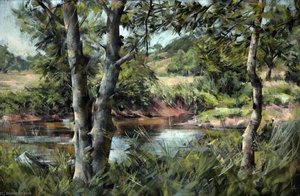 Torridge Above Sheepwash Bridge — Leonard Appelbee
