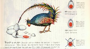 Rooster from "Codex Seraphinianus"