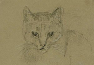Head Of A Cat — John Frederick Lewis, Contemporary Realism