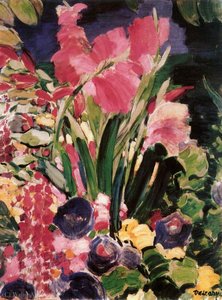 Gladioli