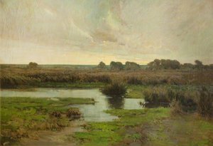 Marshland — Frederick Milner