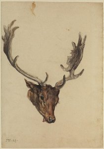 Head Of A Stag — James Ward