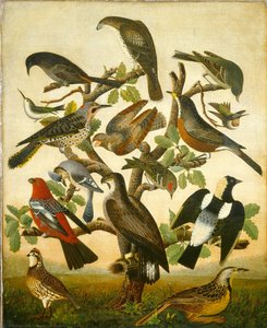 Birds — Winslow Homer, Naturalism