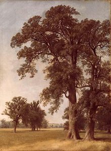 Oaks Of Geneseo, (painting) — Asher Brown Durand