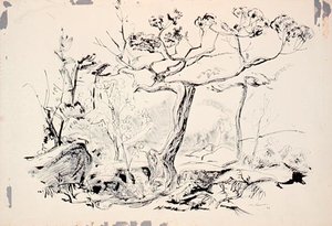 Old Cedar, Georgian Bay Islands — Arthur Lismer