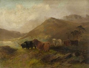 Summertime on the Cheviots
