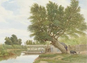 A Lazy Day At The Water's Edge